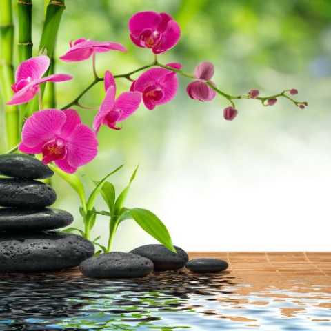 دانلود آهنگ هایده و حمیرا به نام وظیفته (هوش مصنوعی)